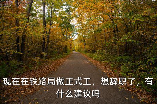 現在在鐵路局做正式工，想辭職了，有什么建議嗎