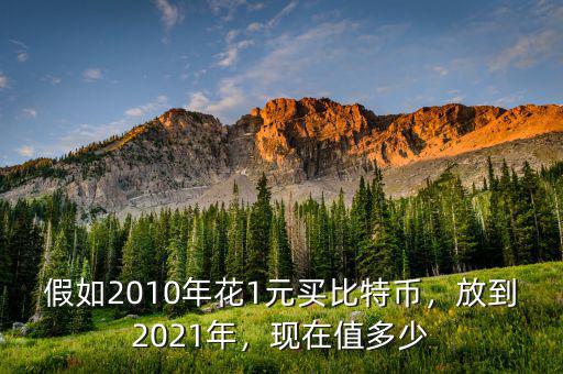 假如2010年花1元買比特幣，放到2021年，現(xiàn)在值多少