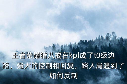 王者榮耀豬八戒在kpl成了t0級(jí)邊路，強(qiáng)大的控制和回復(fù)，路人局遇到了如何反制