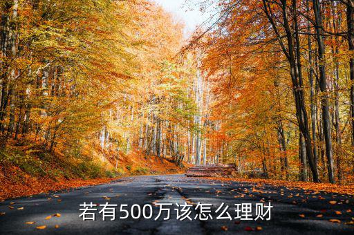 中了500萬怎么理財,怎么理財才能拿到最高收益