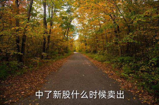 中新股是什么意思,股票中簽是什么意思