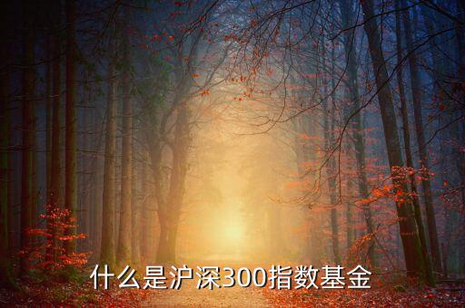 什么是滬深300指數(shù)基金