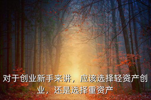 對于創(chuàng)業(yè)新手來講，應(yīng)該選擇輕資產(chǎn)創(chuàng)業(yè)，還是選擇重資產(chǎn)