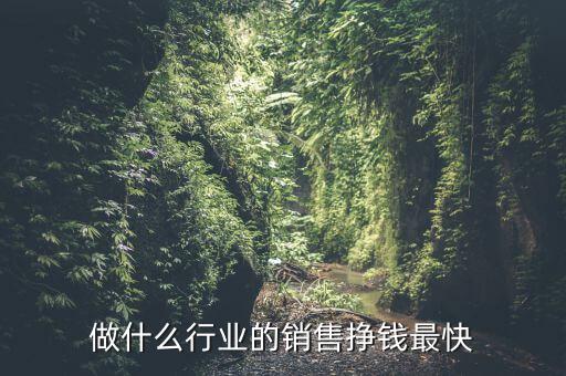 做什么樣的銷售公司賺錢,你覺得跑什么業(yè)務(wù)比較賺錢呢