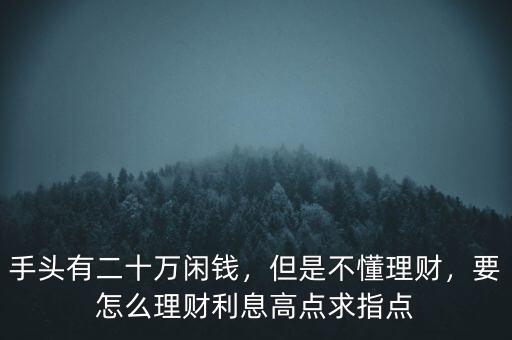 手頭有二十萬(wàn)閑錢，但是不懂理財(cái)，要怎么理財(cái)利息高點(diǎn)求指點(diǎn)