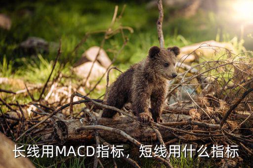 MACD配會什么指標(biāo),長線用MACD指標(biāo)