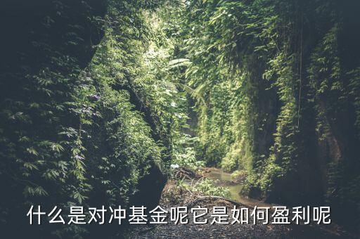 什么是對(duì)沖基金呢它是如何盈利呢