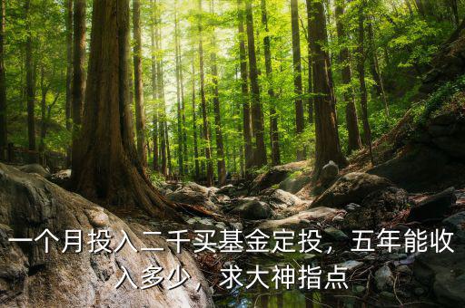 一個(gè)月投入二千買基金定投，五年能收入多少，求大神指點(diǎn)