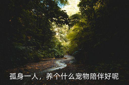 孤身一人，養(yǎng)個(gè)什么寵物陪伴好呢