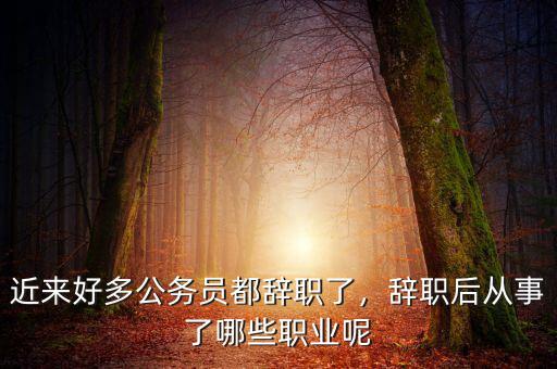 公務(wù)員辭職能干什么,公務(wù)員辭職了可以干什么