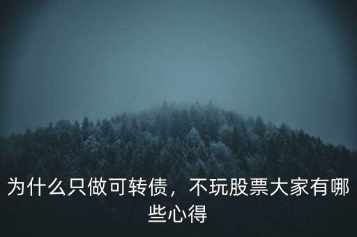 為什么只做可轉(zhuǎn)債，不玩股票大家有哪些心得