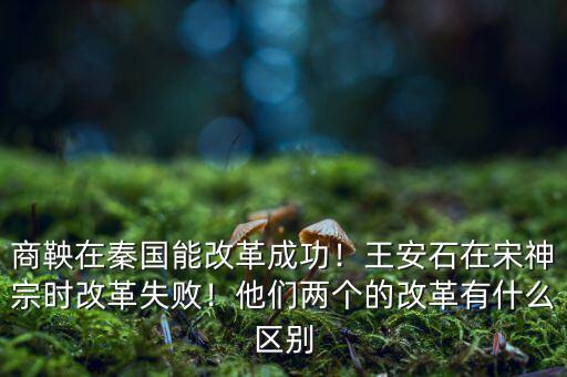 有什么比較成功的改革,他們兩個的改革有什么區(qū)別