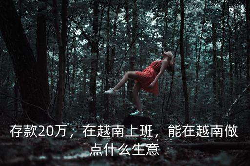 存款20萬，在越南上班，能在越南做點什么生意