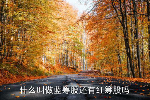 什么是紅籌,什么叫做藍(lán)籌股