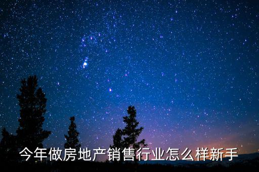 今年做房地產(chǎn)銷(xiāo)售行業(yè)怎么樣新手