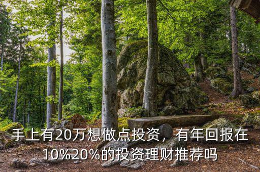 投資什么年回報(bào)10,有年回報(bào)在10%