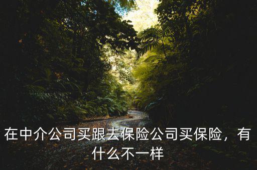 在中介公司買跟去保險公司買保險，有什么不一樣