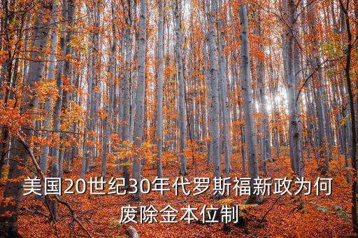 美國20世紀(jì)30年代羅斯福新政為何廢除金本位制