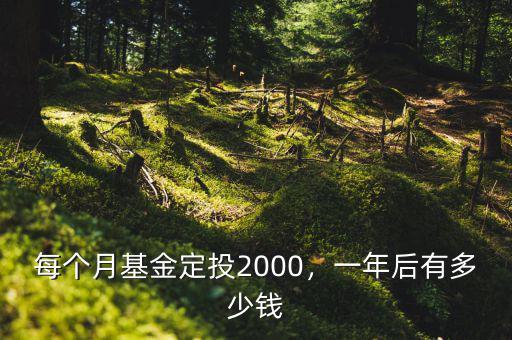 每個(gè)月基金定投2000，一年后有多少錢