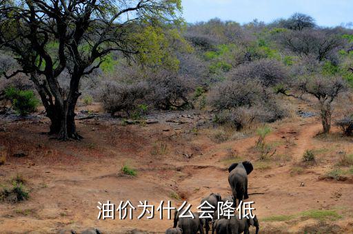 油價為什么會降低