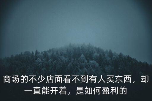 商場的不少店面看不到有人買東西，卻一直能開著，是如何盈利的