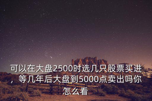 可以在大盤2500時選幾只股票買進，等幾年后大盤到5000點賣出嗎你怎么看