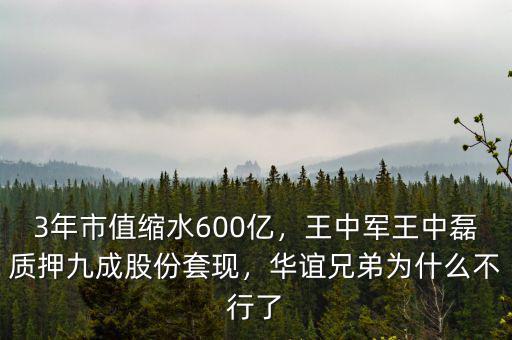 3年市值縮水600億，王中軍王中磊質(zhì)押九成股份套現(xiàn)，華誼兄弟為什么不行了