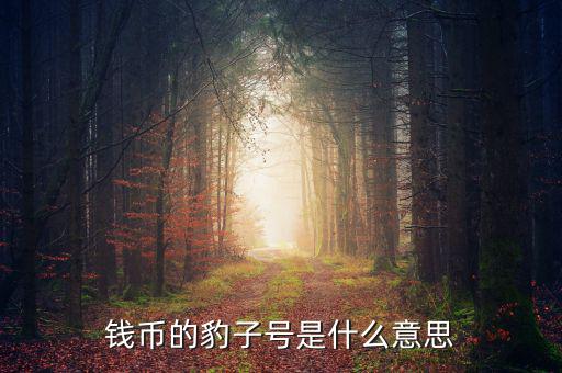 錢(qián)幣的豹子號(hào)是什么意思