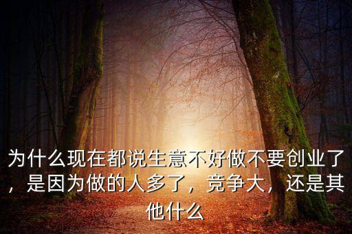 為什么現(xiàn)在都說生意不好做不要?jiǎng)?chuàng)業(yè)了，是因?yàn)樽龅娜硕嗔?，競爭大，還是其他什么