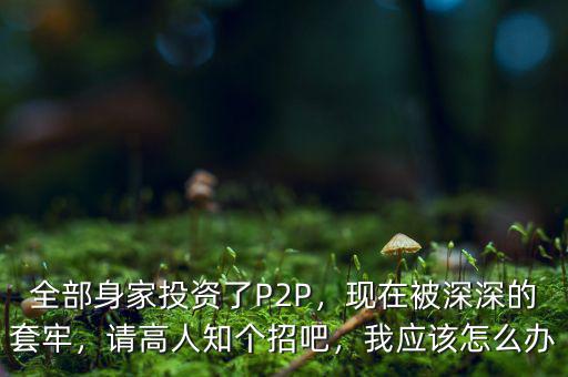 全部身家投資了P2P，現(xiàn)在被深深的套牢，請高人知個招吧，我應(yīng)該怎么辦