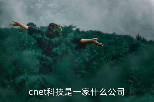 八菱科技是家什么公司,cnet科技是一家什么公司