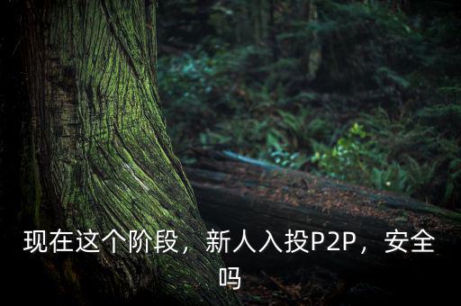 現(xiàn)在這個(gè)階段，新人入投P2P，安全嗎