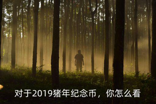 對(duì)于2019豬年紀(jì)念幣，你怎么看