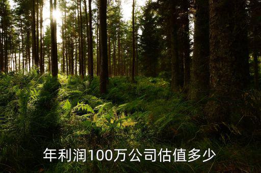 年利潤100萬公司估值多少