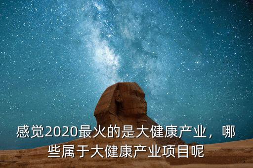 感覺2020最火的是大健康產(chǎn)業(yè)，哪些屬于大健康產(chǎn)業(yè)項(xiàng)目呢