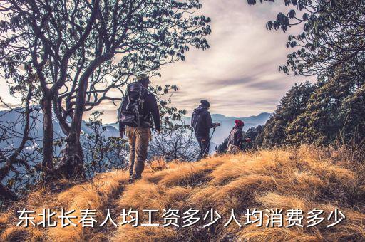 東北工資多少,東北長(zhǎng)春人均工資多少