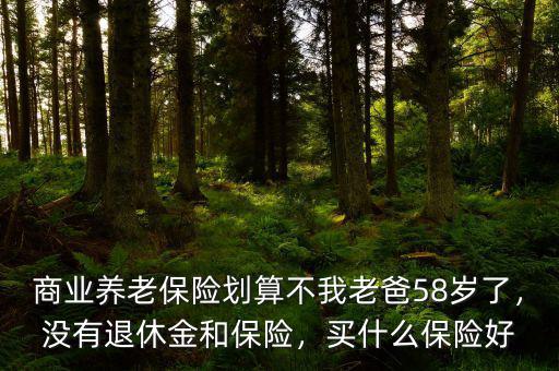 商業(yè)養(yǎng)老保險劃算不我老爸58歲了，沒有退休金和保險，買什么保險好