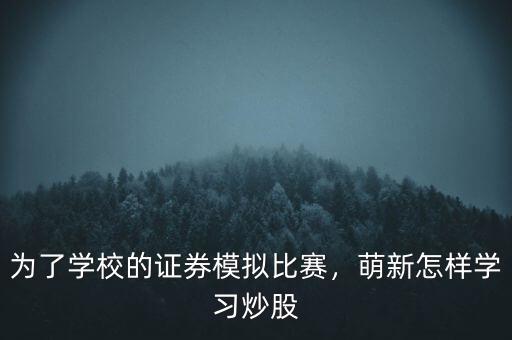 為了學校的證券模擬比賽，萌新怎樣學習炒股