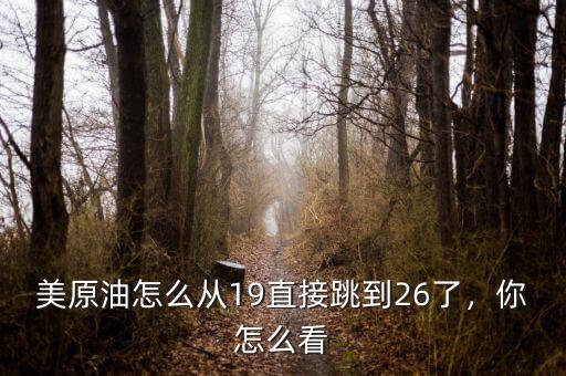 美原油怎么從19直接跳到26了，你怎么看