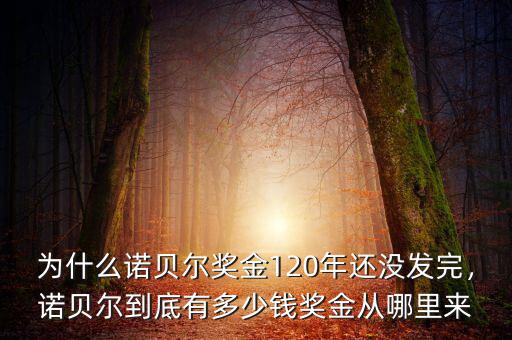 為什么諾貝爾獎金120年還沒發(fā)完，諾貝爾到底有多少錢獎金從哪里來