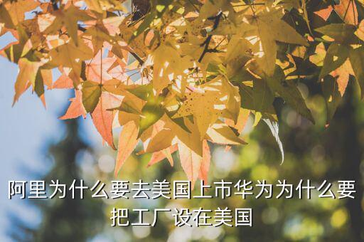 阿里為什么要去美國上市華為為什么要把工廠設(shè)在美國