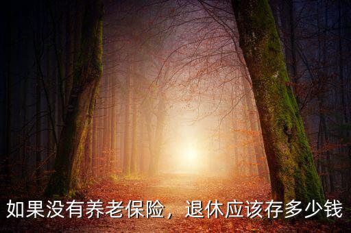 如果沒有養(yǎng)老保險(xiǎn)，退休應(yīng)該存多少錢