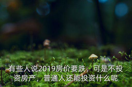 有些人說2019房價要跌，可是不投資房產(chǎn)，普通人還能投資什么呢