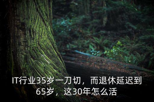 IT行業(yè)35歲一刀切，而退休延遲到65歲，這30年怎么活