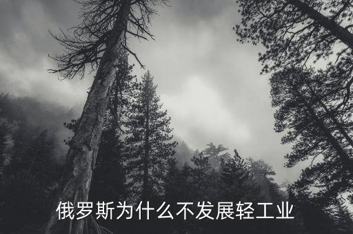 為什么俄羅斯不發(fā)展制造業(yè),為什么不大力發(fā)展制造業(yè)