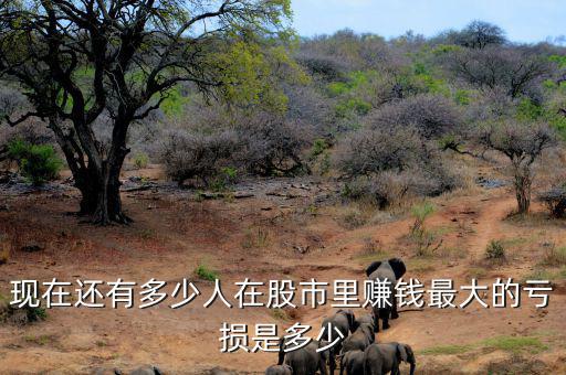 股市到底有多少人賺錢,現在還有多少人在股市里賺錢