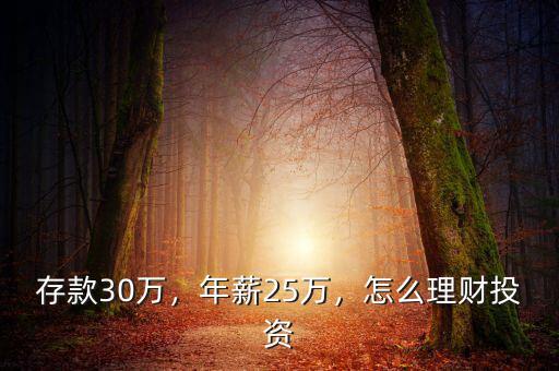 存款30萬，年薪25萬，怎么理財(cái)投資