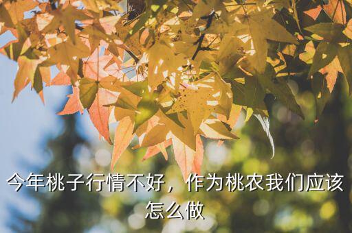 今年桃子行情不好，作為桃農(nóng)我們應(yīng)該怎么做