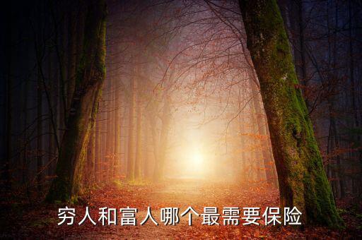 中國富人眼下最需要什么需求,經(jīng)濟蕭條下什么東西最緊缺