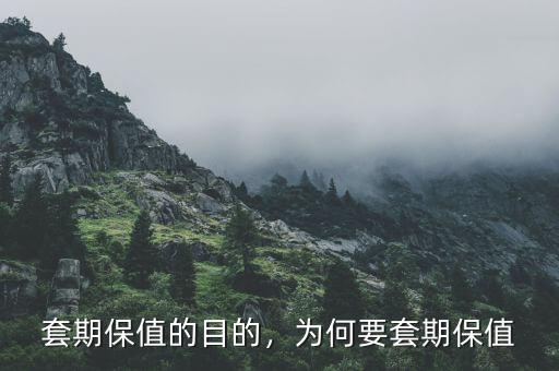 為什么套期保值后風(fēng)險(xiǎn)變小,套期保值的目的